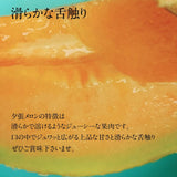 メロン 【阿部商店】 夕張メロン 贈答用 共撰 良品以上 1玉 1.2～1.5kg  お中元 御中元 プレゼント ギフト 北海道 《7/上旬～7/中旬出荷》