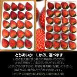 いちご 《 業務用 》 とちあいか L24個(2L20個)×4P×3箱 約4.2㎏ 栃木県産 イチゴ 国産 苺 生食