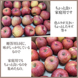 りんご 【帯刀りんご農園】 サンフジ 10kg 32～40個 ちょっぴり良い家庭用 個包装 長野県安曇野市 リンゴ 林檎 ふじ フジ サンふじ