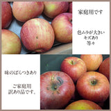 りんご 【帯刀りんご農園】 サンフジ 10kg 家庭用 訳あり B品 バラ詰め 長野県安曇野市 リンゴ 林檎 ふじ フジ サンふじ