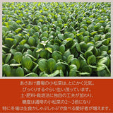 むらさき小松菜 【あさあけ農場】 150g×40袋 6kg 当日収穫 山形県尾花沢市 紫小松菜 業務用