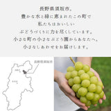ぶどう 【境果樹園】 葡萄 詰め合わせ 家庭用 約2kg 3～5房 長野県須坂市 《9/下旬～10/上旬より出荷》