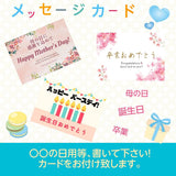 メロン 【OTM出荷組合】 メロン オトメメロン 2玉 2L 糖度15度以上 贈答用 母の日 茨城県鉾田市 茨城町 《4/下旬～5/上旬より出荷》