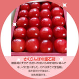 さくらんぼ 【一愛農園】 佐藤錦 200g 32粒 特秀 L チェリコン 贈答用 母の日 山形県東根市 《4/下旬～5/上旬より出荷》