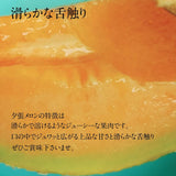 メロン 【阿部商店】 夕張メロン 訳あり 個撰 4～7玉 8kg 家庭用 北海道 《7/上旬～7/中旬出荷》