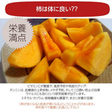 干柿 【さんさんファーム 森の家】 南信州の干し柿 無燻蒸柿 （ 品種 市田柿 ) 300g×4袋 1.2kg ご家庭用 自家用 L～2Lサイズ 渋柿 特別栽培 お取り寄せ 無添加 信州 長野 土産 ドライフルーツ 干し柿