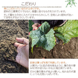 ぶどう 【ﾌﾙｰﾂﾌｧｰﾑいしくら】 葡萄 クイーンニーナ 2房 1.4kg 高糖度 山梨県 贈答  プレゼント 《8/17日頃～8/下旬より出荷》