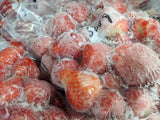 いちご 冷凍いちご 家庭用 5kg 500g×10袋 栃木県産 イチゴ 苺 いちご 完熟  国産 真空パック