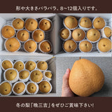梨 【グリーンファーム】 萱場梨 冬の梨 晩三吉 6kg サイズ色々 8～12個 福島県 福島市 和梨 《12/中旬より出荷》食べ頃は12/下旬から