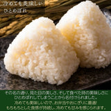 米 【なごみ農園】 ひとめぼれ 精米 白米 10㎏ (5㎏×2袋) 令和6年 新米 検査米 福島県猪苗代町 会津地方 農家さんより直送 《10/7の週より出荷開始》