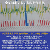 スナップえんどう 【松浦農園】 1kg 業務用 福島県伊達市 当日収穫 新鮮 えんどう豆 スナップエンドウ 《4/上～4/中より出荷》