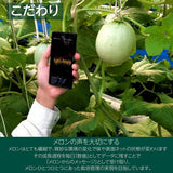 メロン 【トヨタ緑産】 肥料屋さんが作った あま～いメロン 2玉 2.4㎏ 家庭用 静岡県磐田市