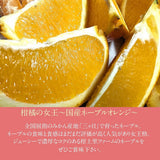 柑橘  【柑土里ファーム】 ネーブル しらぬい 2種類入り 3.5kg センサー 静岡県三ケ日 不知火 《3/中旬～3/下旬より出荷》