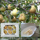 洋梨 【伊達農園】 ゼネラル・レクラーク 2.5kg 5～7個 贈答用 《11/上旬～11/中旬より出荷》