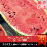 スイカ 【あさあけ農場】ペイズリースイカ 1玉 5〜6kg 山形県 尾花沢《7/下旬〜8/上旬より出荷》