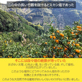 みかん 【みかんの館】 有田みかん ブランド産地 田村地区産 ちびみかん ミニミニ ぷちすぃーと 7㎏ S以下 和歌山県 蜜柑 ミカン 柑橘 《12/中旬～12/下旬より出荷》