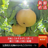 梨 【箭内厳雄果樹園】 甘太 新興 にっこり 1～3種入り 4kg 6～8個 福島県須賀川市《10/下旬～11/上旬より出荷》