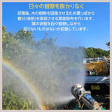 柑橘 【高石垣ファーム】 有田地区 柑橘食べ比べ 3種類以上 家庭用 4kg 訳あり みかん 和歌山県 《3/上旬～3/中旬より出荷》