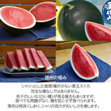 スイカ 【南原ファーム】 高級 波田スイカ 2L～3L 7～9kg 長野県松本市 御中元 《7/中旬より出荷》