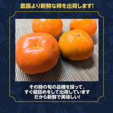 柿 甘柿 【成田柿園】 やさとの柿 富有柿等  3.5kg S 20個 茨城県石岡市 《11/下旬～12/上旬より出荷》