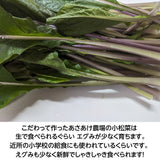 紫 小松菜 【あさあけ農場】 150g×30袋 4.5kg 当日収穫 山形県尾花沢市 紫小松菜 業務用