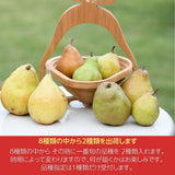 洋梨 【あべき倶楽部】 洋ナシ 2種類入り 2.5kg 4～12個 ご家庭用 訳あり 福島県 洋なし 《10/下旬～11/上旬より出荷》