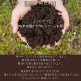 ぶどう 【境果樹園】 シャインマスカット クイーンルージュ 1~2房ずつ 約1kg 長野県須坂市 《9/下旬～10/上旬より出荷》