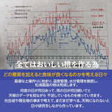 桃 【伊達 松浦農園】 硬い もも 2kg 5～7個 福島県 伊達市 《7/下旬～8/上旬出荷》