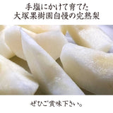 梨 【 大塚果樹園 】 白井の梨 5kg  10～16個 贈答用 しろいの梨 千葉県白井市《9/上旬～9/中旬の出荷》