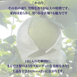梨 【 アウーファーム 】 白井の梨 かおり 5kg 5~8個 贈答用 しろいの梨 千葉県白井市《9/中旬～10/上旬の出荷》