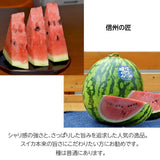 スイカ 【南原ファーム】 高級 波田スイカ 2L～3L 7～9kg 長野県松本市 御中元 《7/中旬より出荷》