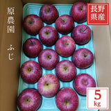 りんご 【 原農園 】 リンゴ サンふじ 5kg 15～18個 贈答用 長野県 松川町 ふじ 《11/下旬～12/上旬より出荷》