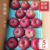 りんご 【 原農園 】 リンゴ サンふじ 大玉 5kg 10～14個 贈答用 長野県 松川町 ふじ 《11/下旬～12/上旬より出荷》