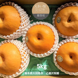 梨 【乙連沢梨園】大きい にっこり 大ビッグサイズ 5kg (1kg×5個) 贈答用 栃木県 《10/上旬～10中旬より出荷》