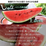 スイカ 【あさあけ農場】ペイズリースイカ 1玉 5〜6kg 山形県 尾花沢《7/下旬〜8/上旬より出荷》