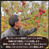 りんご 【有我果樹園】 リンゴ 中玉 18～20個 5kg 福島県 須賀川市《10/上旬～10/中旬より出荷》