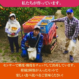 柑橘  【柑土里ファーム】 ネーブル しらぬい 2種類入り 3.5kg センサー 静岡県三ケ日 不知火 《3/中旬～3/下旬より出荷》