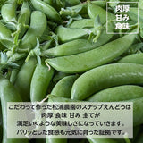 スナップえんどう 【松浦農園】 1kg 業務用 福島県伊達市 当日収穫 新鮮 えんどう豆 スナップエンドウ 《4/上～4/中より出荷》