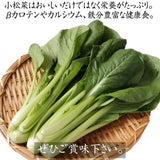 むらさき小松菜 【あさあけ農場】 150g×40袋 6kg 当日収穫 山形県尾花沢市 紫小松菜 業務用