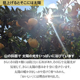 みかん 【みかんの館】 有田みかん ブランド産地 田村地区産 S 5kg 約60個 和歌山県 蜜柑 ミカン 柑橘 《11/上旬～11/中旬より出荷》