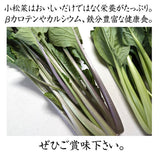 紫 小松菜 【あさあけ農場】 150g×30袋 4.5kg 当日収穫 山形県尾花沢市 紫小松菜 業務用