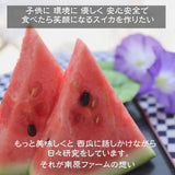 スイカ 【南原ファーム】 高級 波田スイカ 2L～3L 7～9kg 長野県松本市 御中元 《7/中旬より出荷》