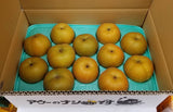 梨 【 アウーファーム 】 白井の梨 新高 新興 5kg 5～12個 贈答用 しろいの梨 千葉県白井市《9/下旬～10/上旬より出荷》