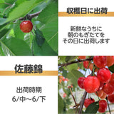 さくらんぼ 【桜桃慕庵】 佐藤錦 1kg M以上 山形県 東根市  《6/中旬～6/下旬の出荷》