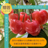さくらんぼ 【佐藤果樹園】 佐藤錦 1kg 秀 L 《6/中旬～6/下旬の出荷》
