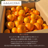 みかん 【みかん屋かみん】 10kg S~Mサイズ 約90~110玉 贈答用 静岡県浜松市 《11/上旬～中旬より出荷》