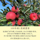 りんご 【帯刀りんご農園】 サンフジ 10kg 32～40個 ちょっぴり良い家庭用 個包装 長野県安曇野市 リンゴ 林檎 ふじ フジ サンふじ