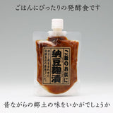 納豆 【岡崎】納豆麹漬け 160g以上×5種類の味 チューブ 福島県産