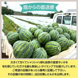 スイカ 【富里すいか園】 富里スイカ  L～2L 6～8kg 1個 千葉県富里市 すいか 父の日 《5/下旬～6/上旬より出荷》
