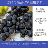 ぶどう 【米山農園】 ナガノパープル 家庭用 2kg 4～6房 長野県安曇野 《9/上旬～9/中旬より出荷》